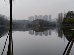 -重庆彩云湖湿地公园
