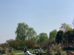 -云漫湖生态度假公园