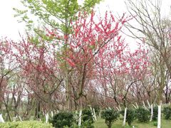 -白鹭湾湿地公园