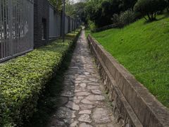 -菊花台公园