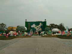 -上海都市菜园