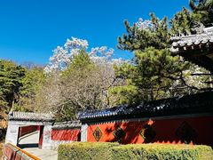 -潭柘寺景区