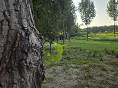 -汉长安城未央宫国家考古遗址公园