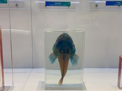 -生命奥秘博物馆