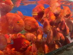 -泉州海丝野生动物世界