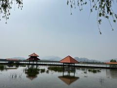 -青龙湖公园