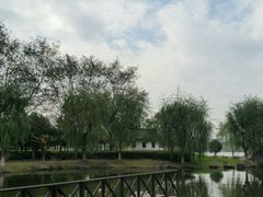 -梦江南