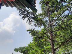 -沈阳辉山风景区