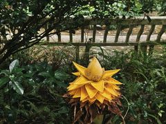 -中国科学院华南植物园