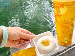 -奈雪的茶(世茂广场店)