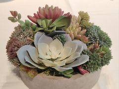 -席家花园(巨鹿花园店)