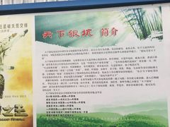 -天下银坑
