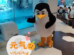 -帝企鹅自助餐厅•儿童岛•真企鹅(长隆企鹅酒店)