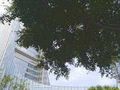 -融信华邑酒店·鲜艳西餐厅
