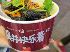-黑色经典臭豆腐·湖南特产(潇湘文化店)