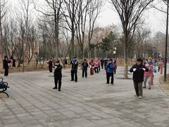 -回龙观体育文化公园