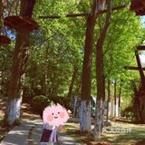 220元亲子活动畅玩一整天