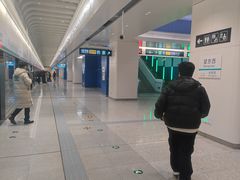 -望京西(地铁站)