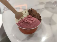 洛神花-Dal Cuore 达可芮冰淇淋(陕西北路店)
