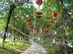 -松山湖梦幻百花洲