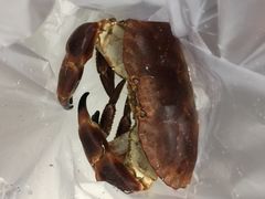 -盒马鲜生(大成店)