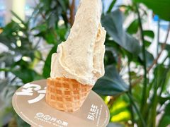 -野人先生Gelato(上海长宁龙之梦店)