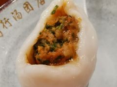 菜肉汤圆-高行汤团店(金高路店)