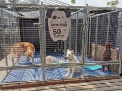 -萌宠亲子动物乐园(槐房万达店)