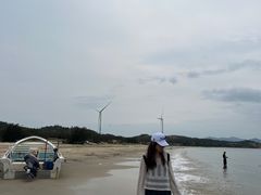 -汕尾风车岛