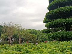 -厦门园林博览苑