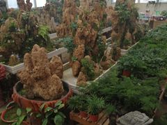 -李村大集