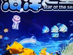 -上海海洋水族馆