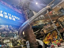 点击看大图 -卡通尼·Safari非洲探索乐园·生日会(金桥国际商业广场店)