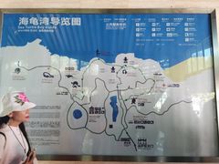 -广东惠东海龟国家级自然保护区