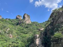 -大岭沟猕猴桃谷风景区