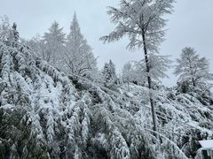 -安吉龙王山风景区