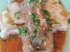 清蒸鲈鱼-双塔老饭店