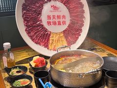 -手选潮汕鲜活牛肉火锅(二七广场店)