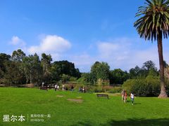 -墨尔本皇家植物园