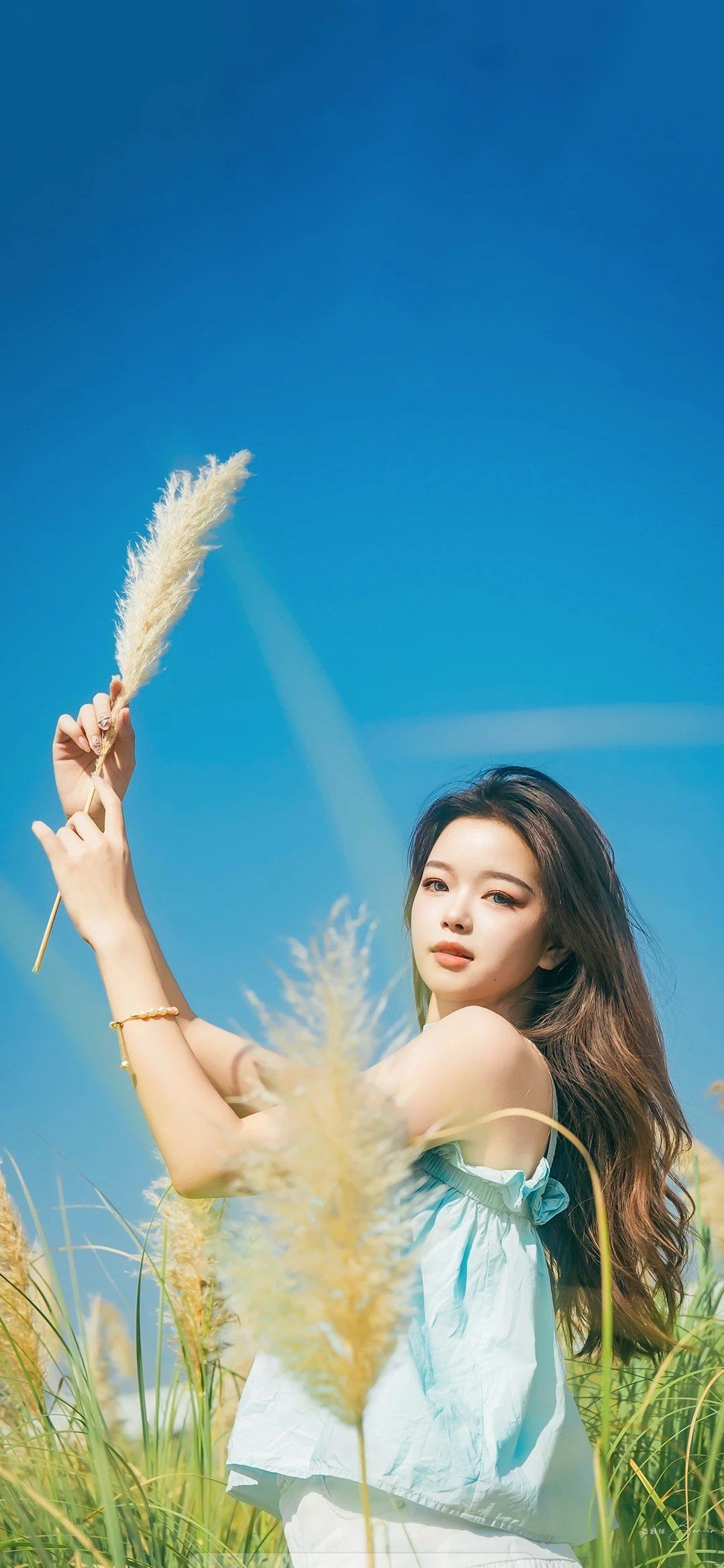 海边的蓝色仙女