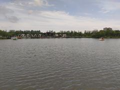 -上海长兴岛郊野公园