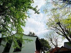 -溪口-滕头旅游景区