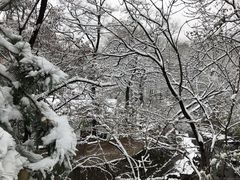 -秦岭终南山世界地质公园翠华山景区