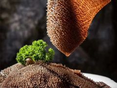 -重庆叉叉裤老火锅(云岭东路店)