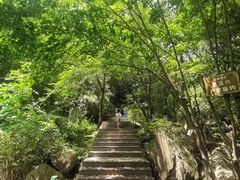 -王顺山国家森林公园