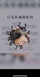 -希梵尔头皮抗衰·科技养发