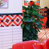 南宁｜不可错过的平靓正大排档❣️人均50+