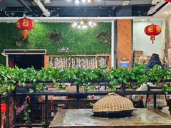 -鲜椒鱼·雅安地标性美食