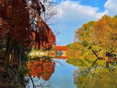 -上海海湾国家森林公园