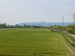 -长田漾湿地公园